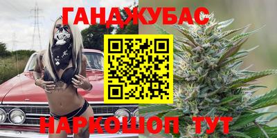 твердый Кингисепп