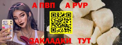 твердый Кингисепп