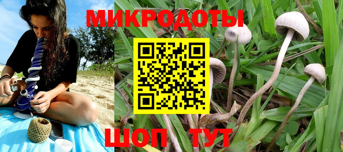 Псилоцибиновые грибы Magic Shrooms  Вход с VPN  Кумертау  Псилоцибиновые грибы мицелий 