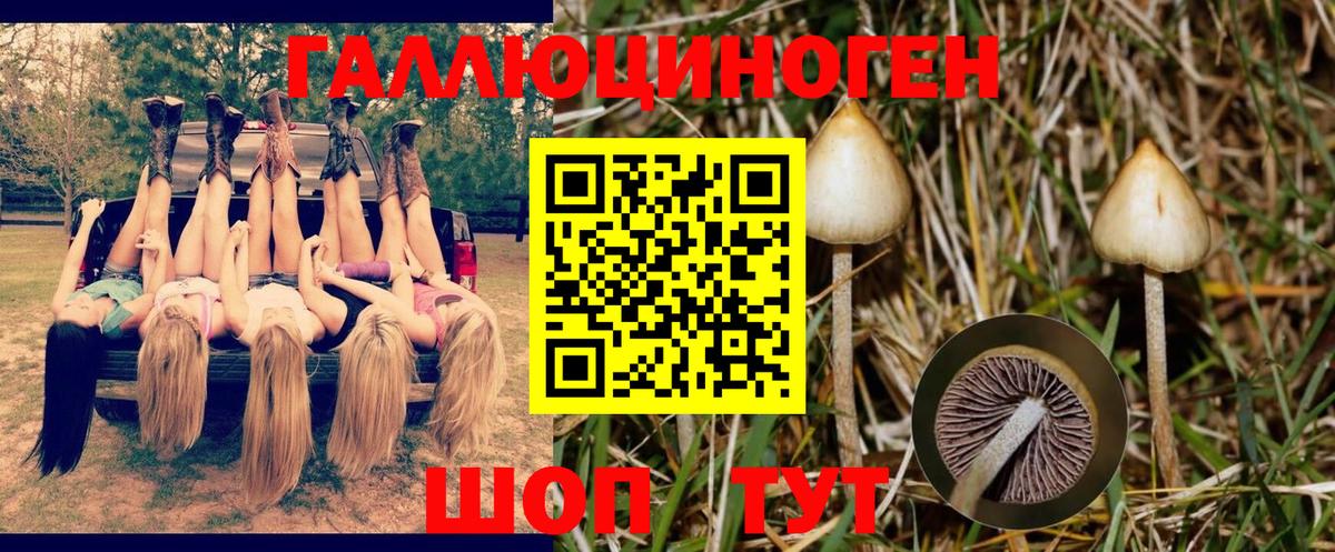 Галлюциногенные грибы GOLDEN TEACHER Кумертау